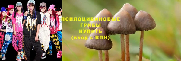 альфа пвп Нея