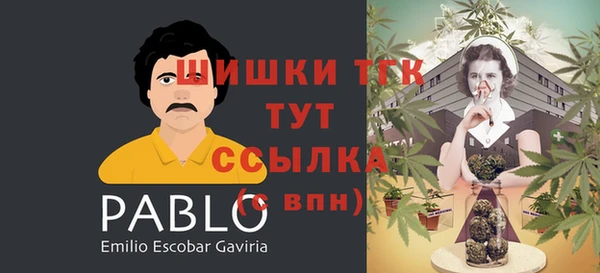 альфа пвп Нея