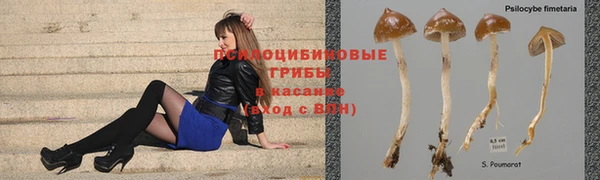 альфа пвп Нея