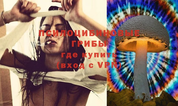 альфа пвп Нея