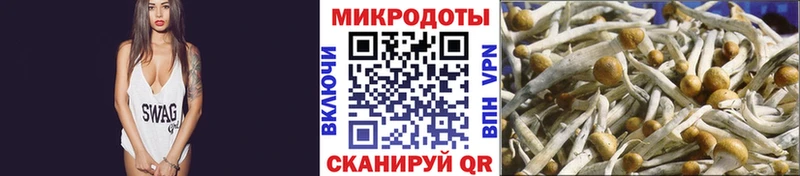 Псилоцибиновые грибы мицелий  Пошехонье 
